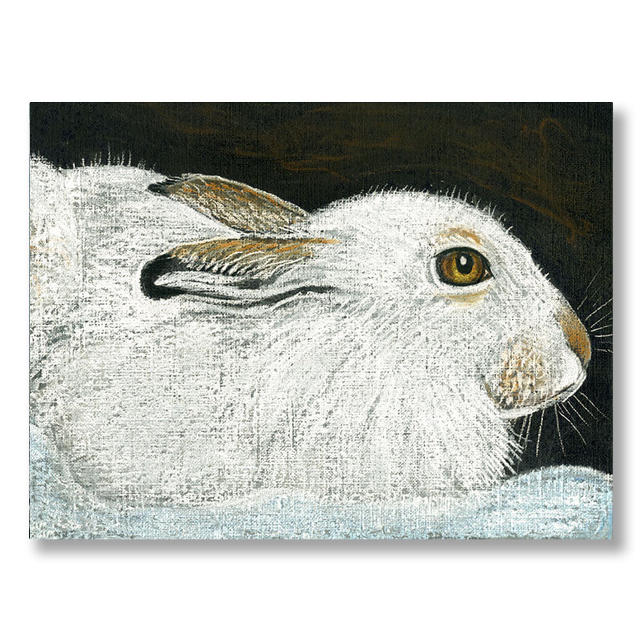 Mountain Hare in Winter by Linda Richardson