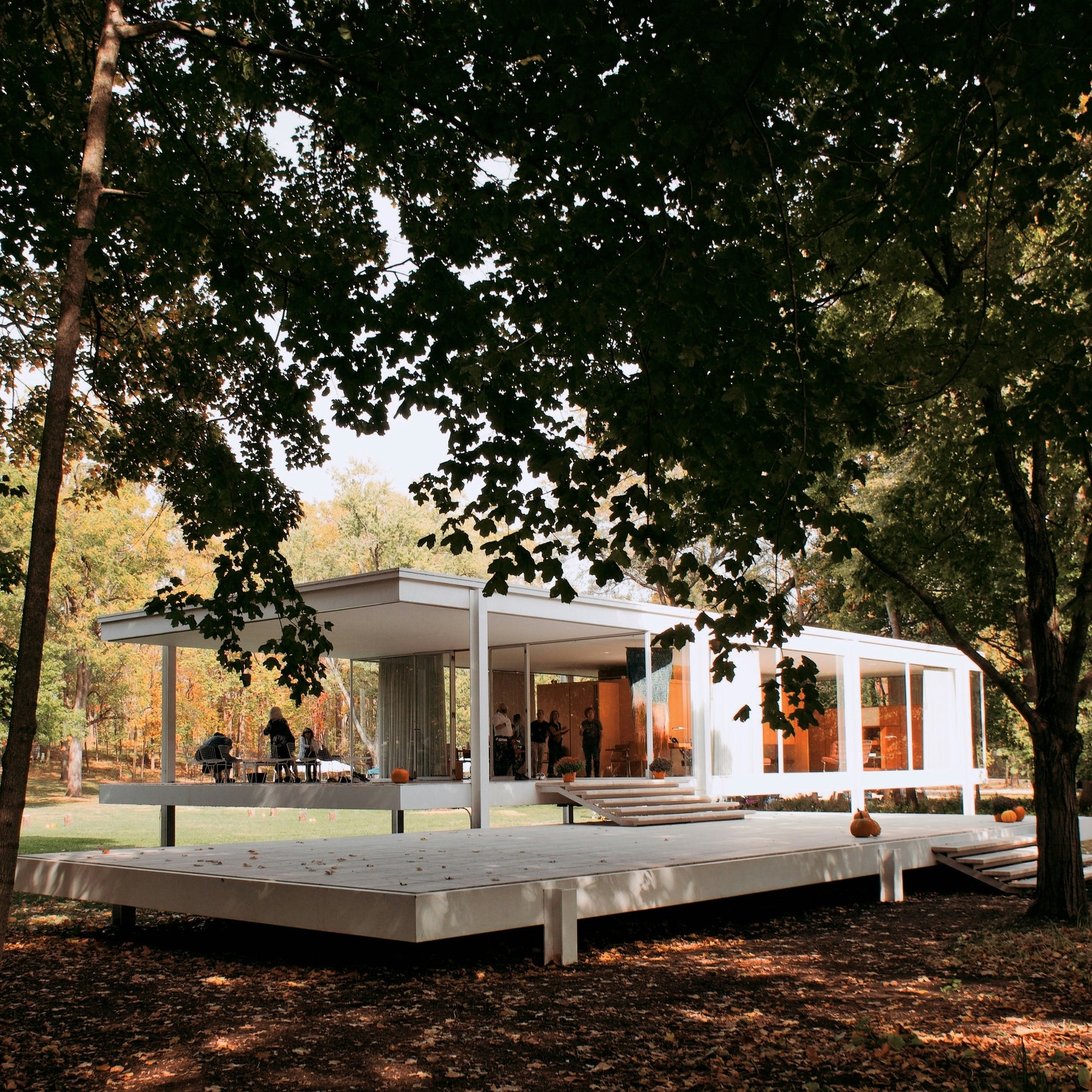 The Farnsworth Dilemma