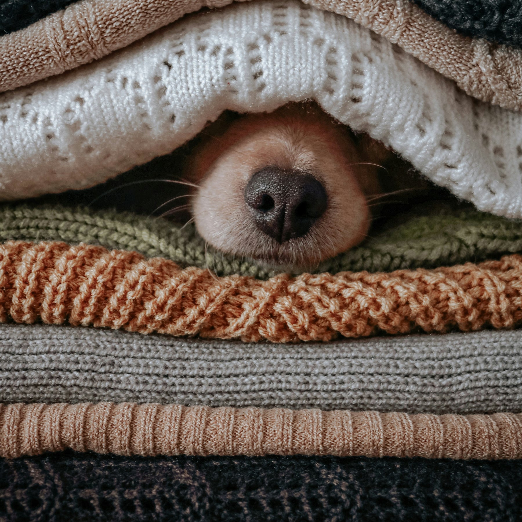 Preparing your Home for Winter