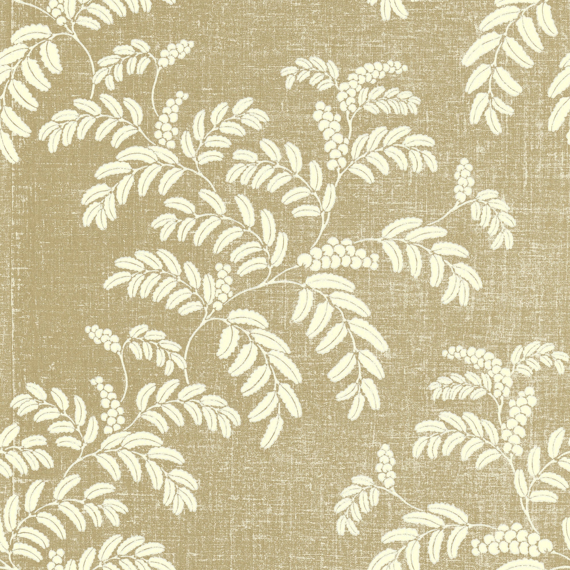 A foliage wallpaper pattern, Acacia in Chino Beige.