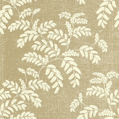 A foliage wallpaper pattern, Acacia in Chino Beige.