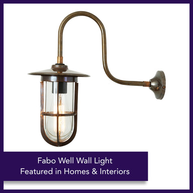 Glass Swan Neck Outdoor Light - Antique Brass