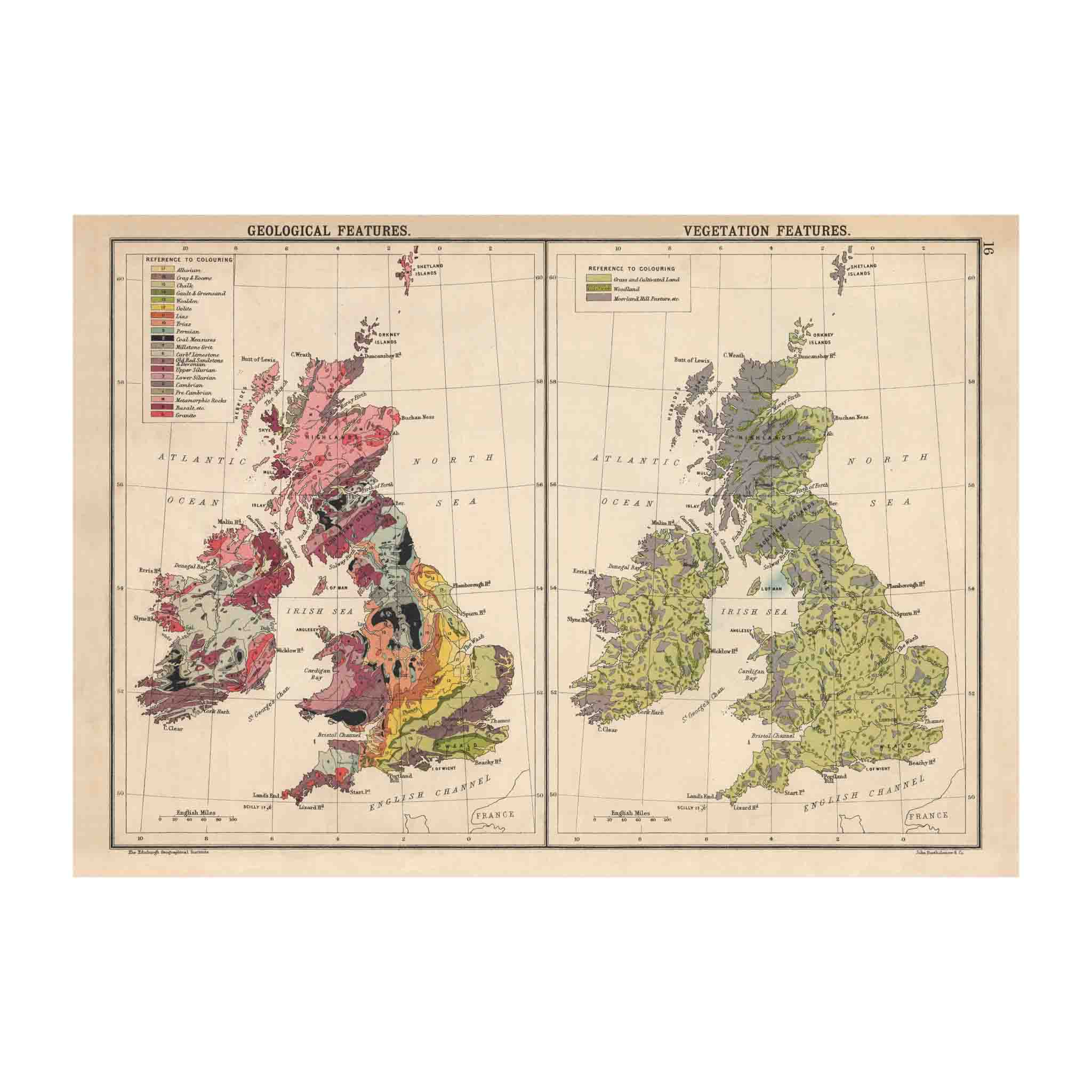 Geology & Vegetation of Britain