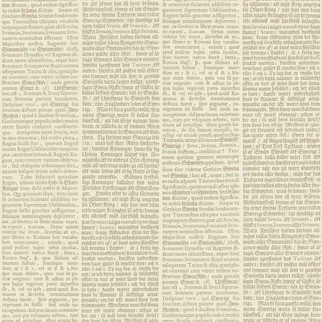 Textured paper with printed text in a decorative font