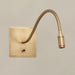 Brass LED reading wall light with goose neck arm