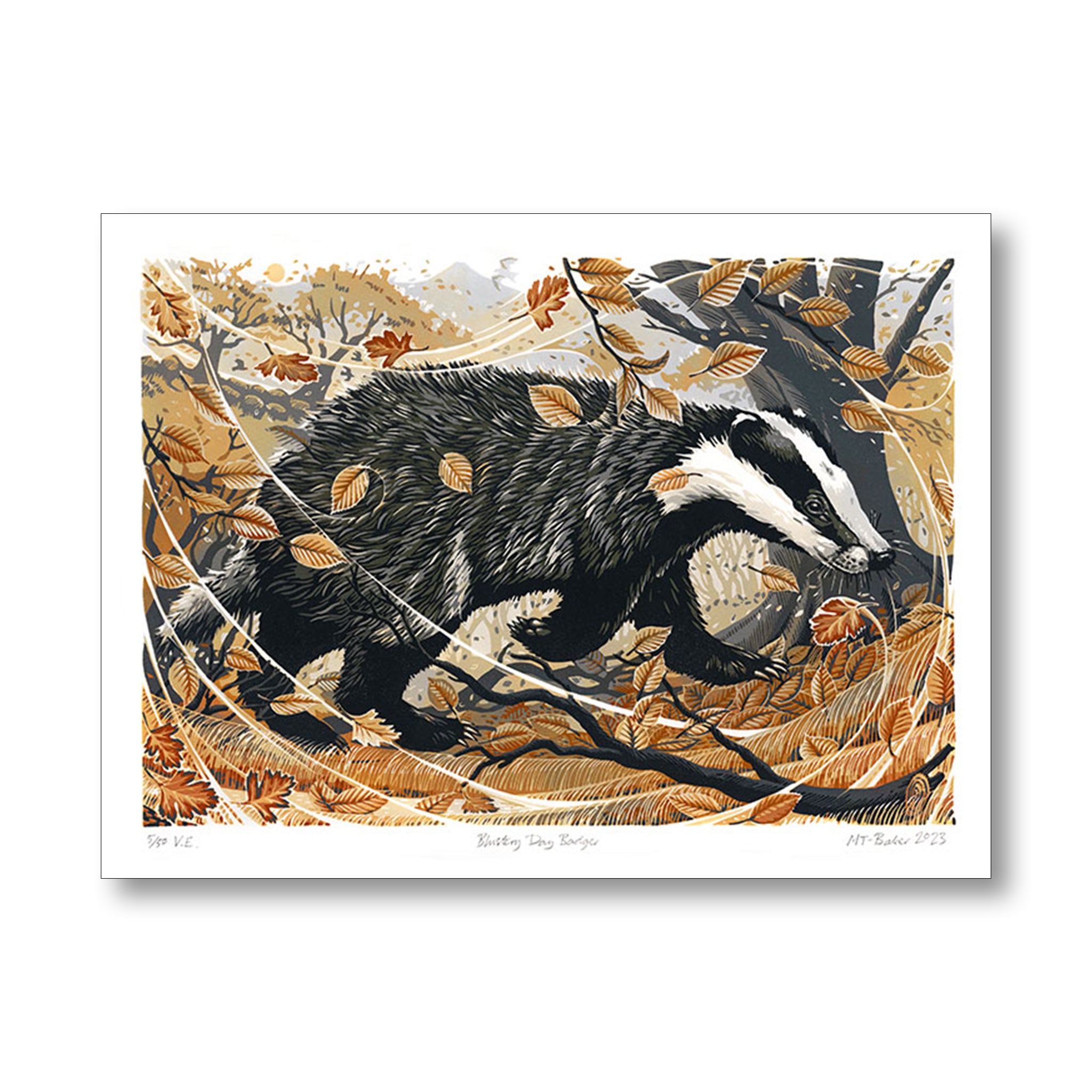 greetings card of badger on a windy autumn day