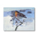 Image of greeting card featuring a robin the snow