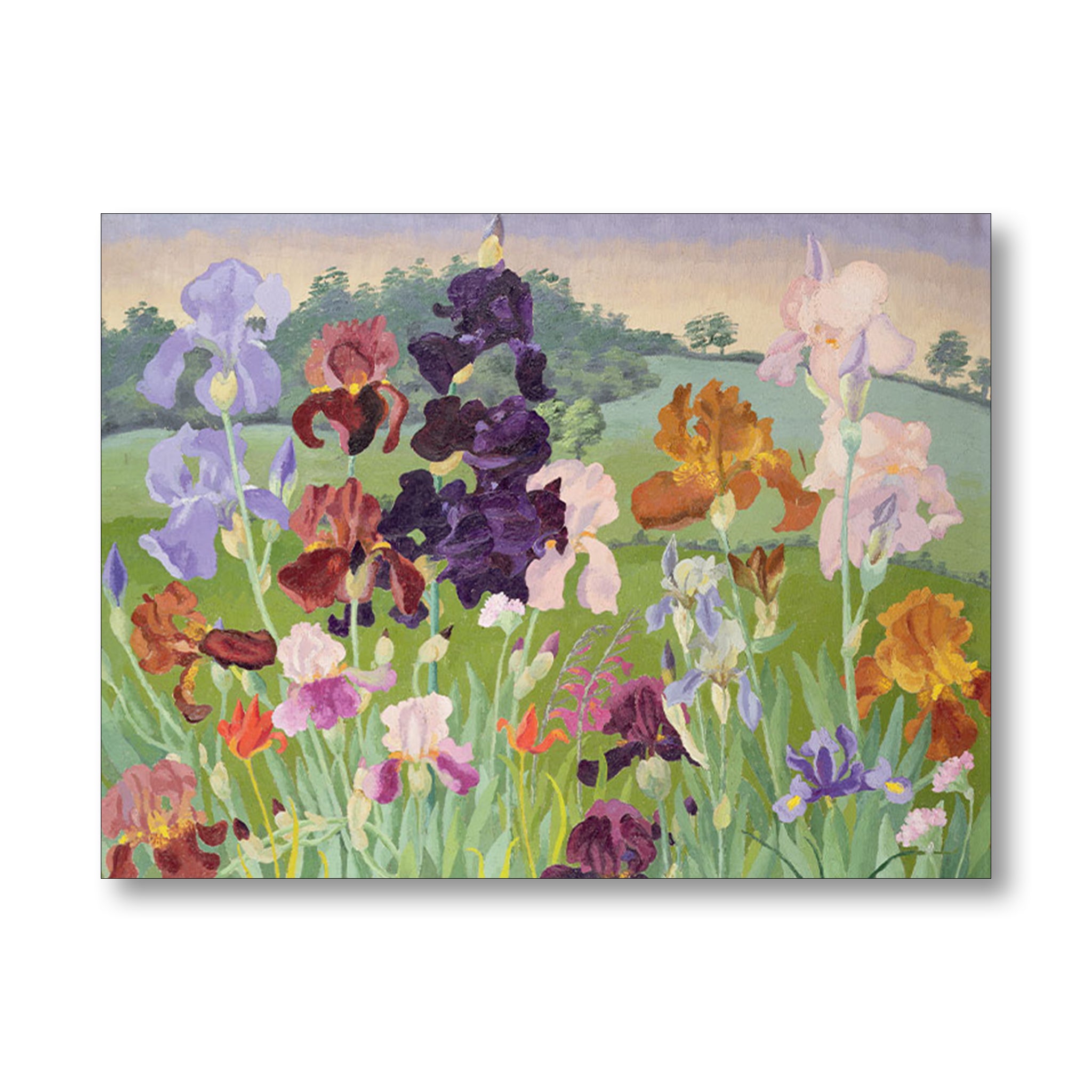 Painting of colorful irises in a garden with a landscape background