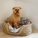Rush Pet Basket with dog and blanket