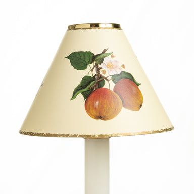 Candle Shade - Rosy Apples | Nicholas Engert Interiors