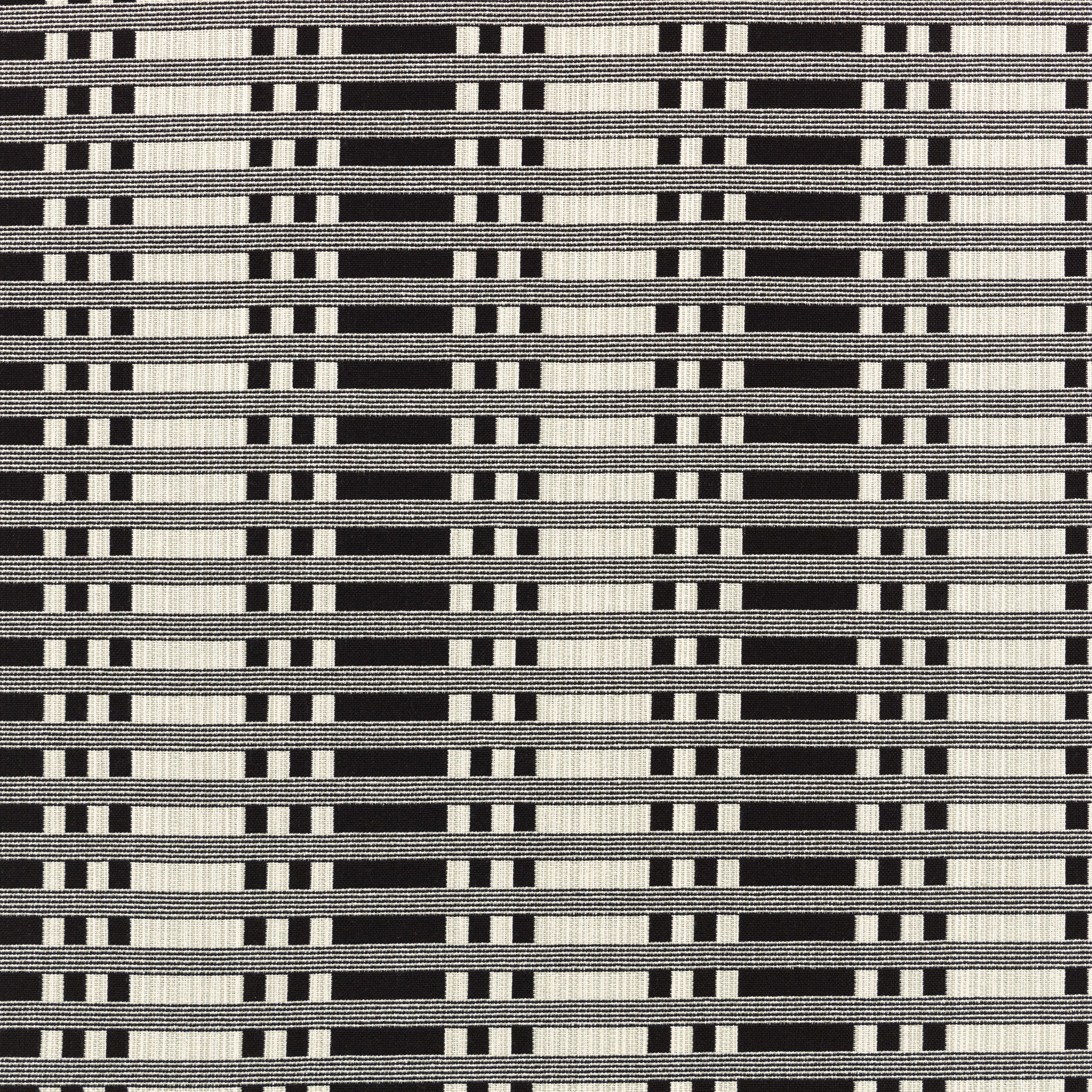 Tithonus Cotton Fabric - Black | Nicholas Engert Interiors