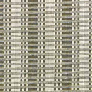 Tithonus Cotton Fabric - Lead | Nicholas Engert Interiors