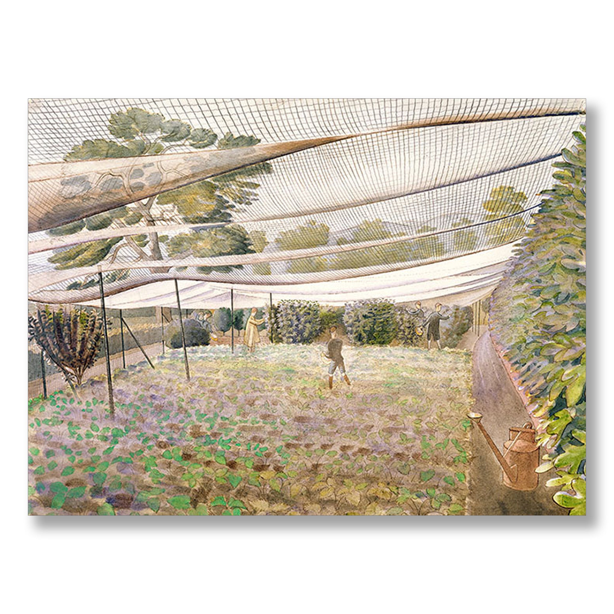 Strawberry Nets by Eric Ravilious