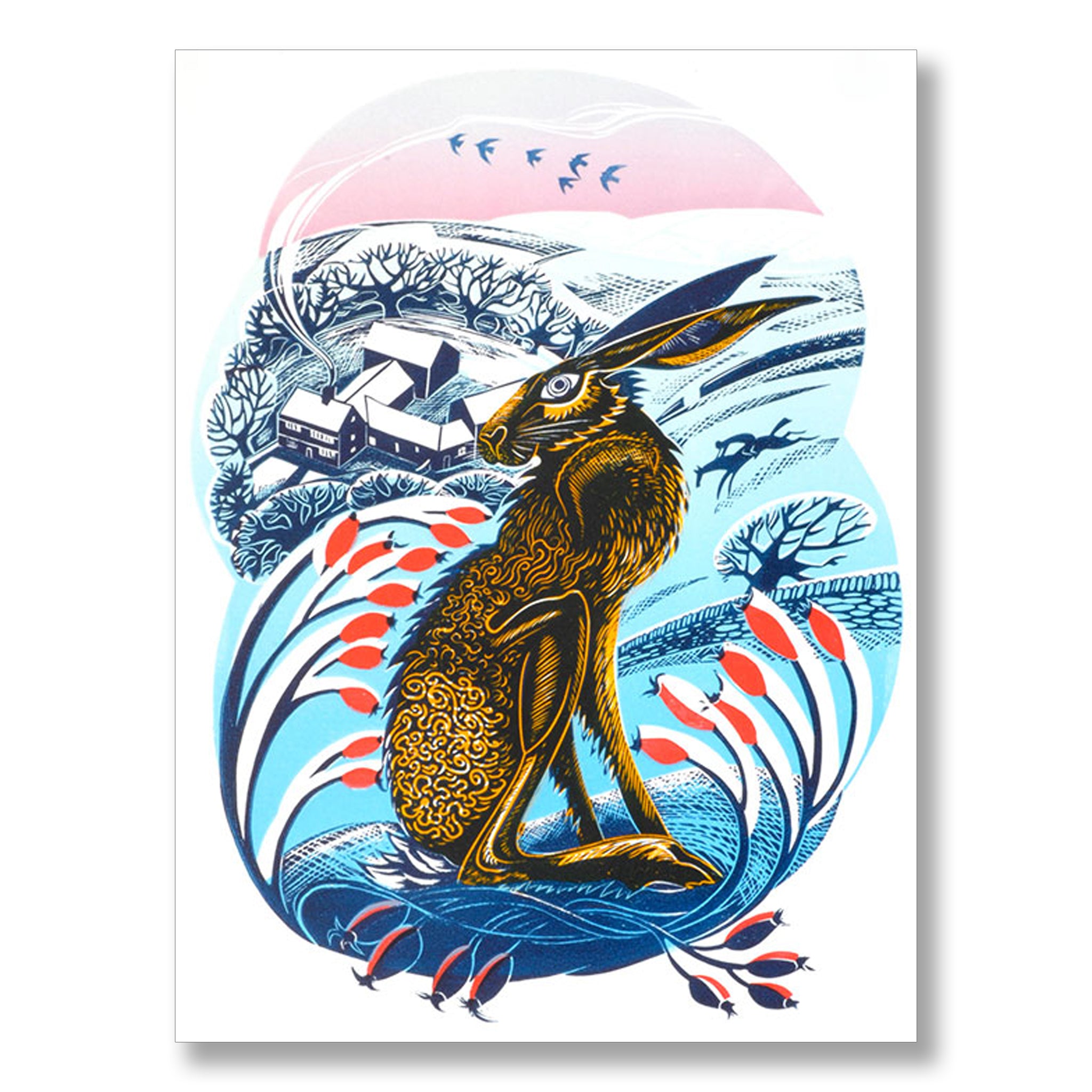 Peak District Hare by Jeremy James