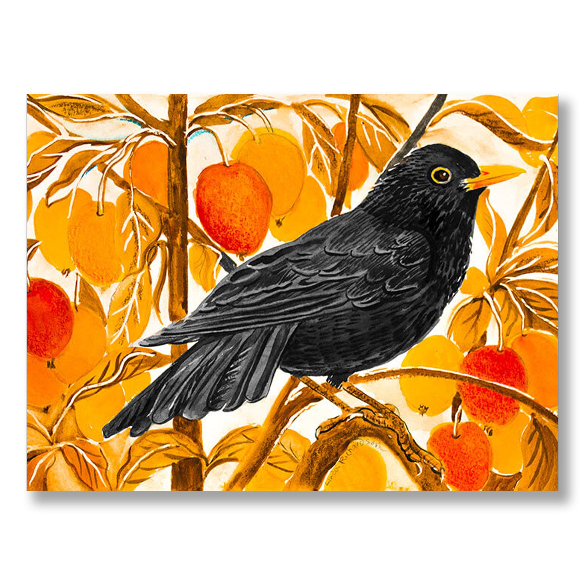 Blackbird & Crab Apples by Linda Richardson