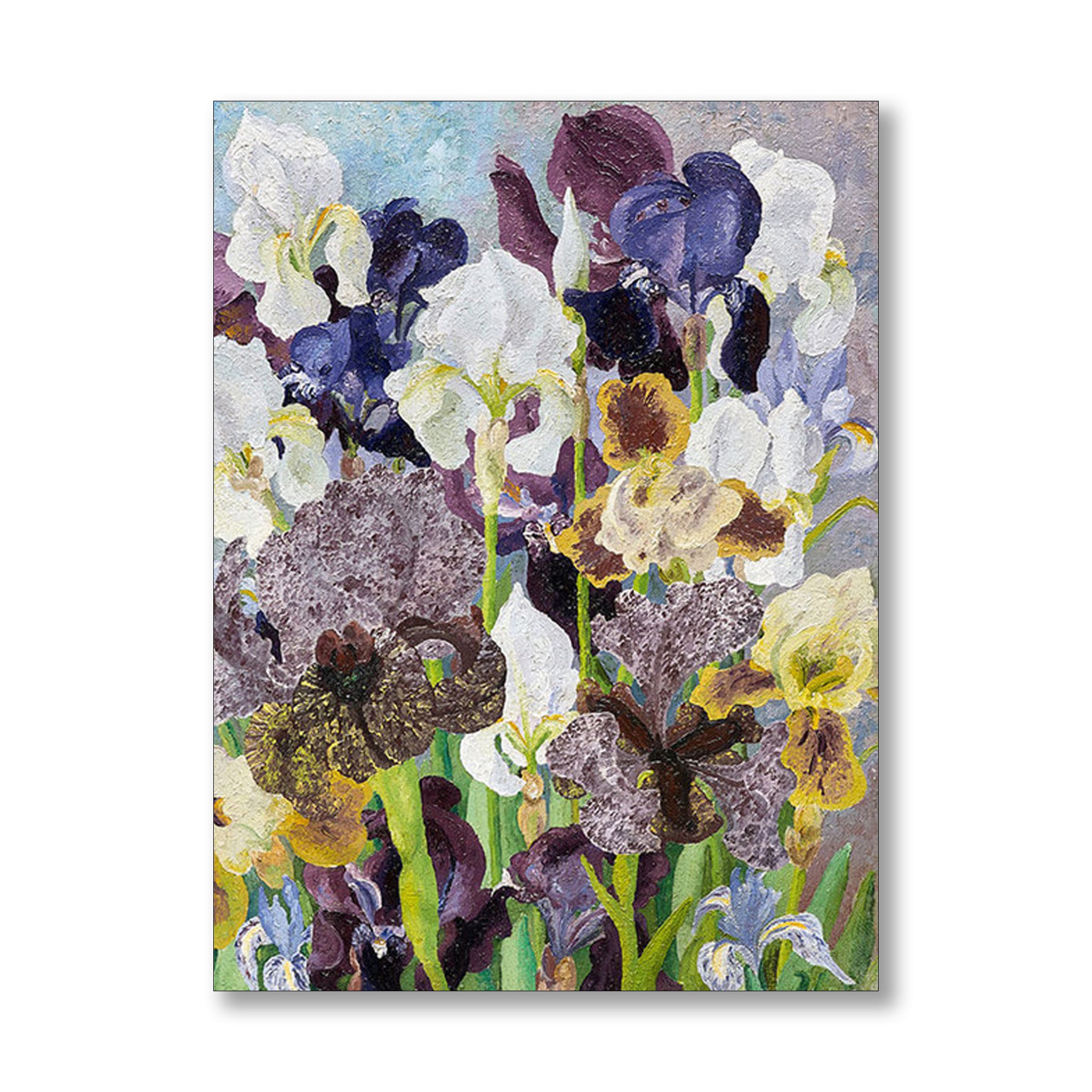 May Flowering Irises 1935 by Cedric Morris | Nicholas Engert Interiors