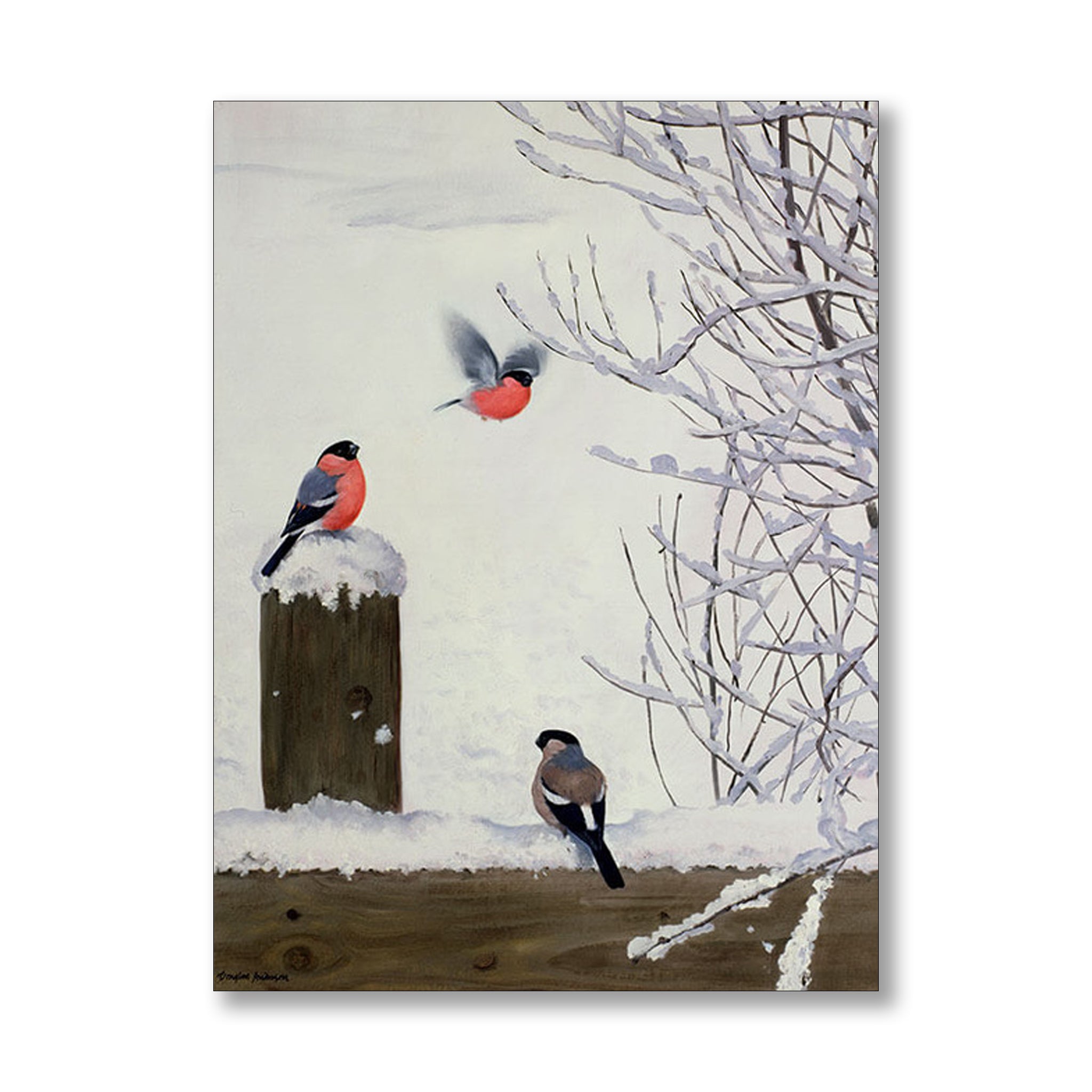 Bullfinches on a Snowy Fence by Douglas Anderson | Nicholas Engert Interiors